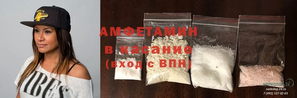 крисы Абаза
