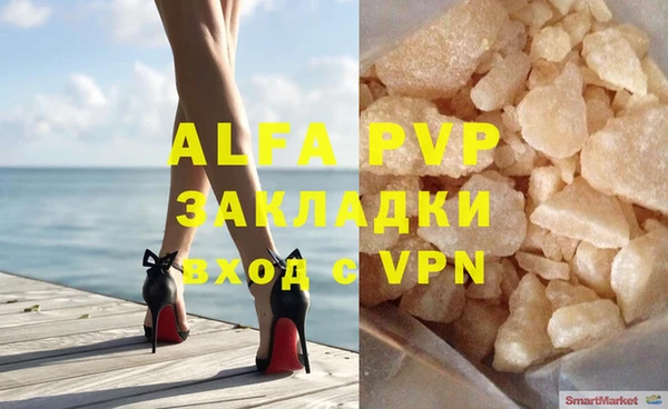 крисы Абаза