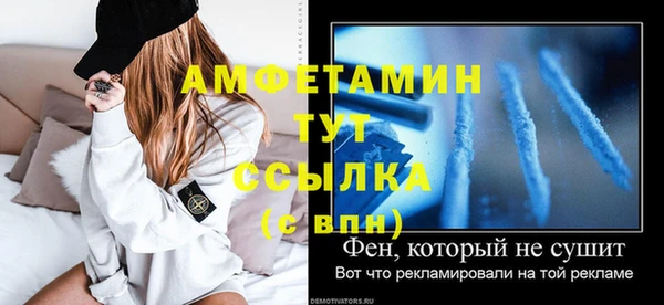крисы Абаза