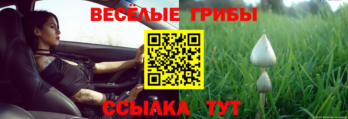 наркота  Псилоцибиновые грибы MAGIC MUSHROOMS  Вход с VPN  Шарыпово  Псилоцибиновые грибы Psilocybine cubensis 